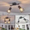BARIPADA Ceiling Light chrome, grey, 2-light sources