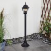 NAOFE path light black, 1-light source