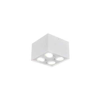 Ceiling Light Trio Leuchten BISCUIT white, 4-light sources
