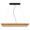 Globo ALINA Pendant Light LED black, 1-light source