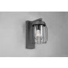 Trio-Leuchten TUELA Wall Light anthracite, 1-light source