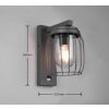 Trio-Leuchten TUELA Wall Light anthracite, 1-light source, Motion sensor