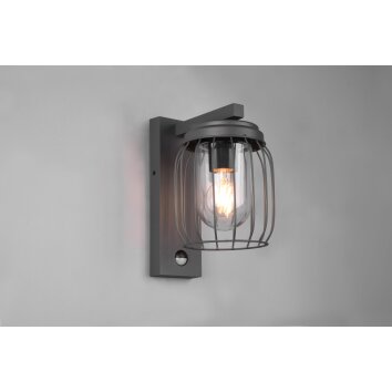 Trio-Leuchten TUELA Wall Light anthracite, 1-light source, Motion sensor