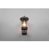 Trio-Leuchten CAVADO Wall Light anthracite, 1-light source, Motion sensor