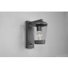 Trio-Leuchten CAVADO Wall Light anthracite, 1-light source, Motion sensor