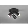 Trio-Leuchten ANGELO Ceiling Light black, 3-light sources