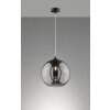 Fischer-Honsel OPIE Pendant Light black, 1-light source