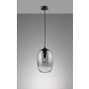 Fischer-Honsel TRACE Pendant Light black, 1-light source