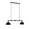 Fischer-Honsel LEITUNG Pendant Light black, 2-light sources