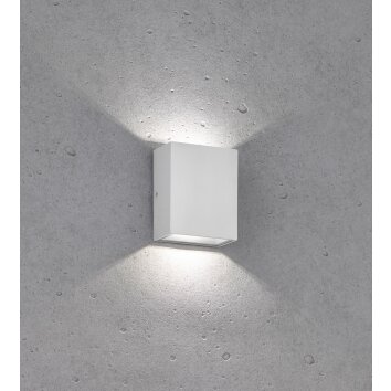 Fischer-Honsel DENVER Outdoor Wall Light LED silver, 2-light sources
