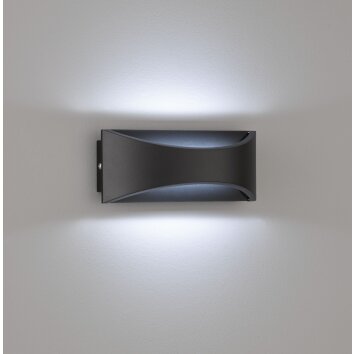 Fischer-Honsel RIO Outdoor Wall Light LED black, 1-light source