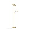Fischer-Honsel DENT Floor Lamp LED brass, 1-light source