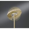 Fischer-Honsel DENT Floor Lamp LED brass, 1-light source