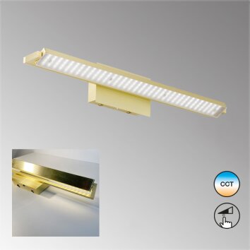Fischer-Honsel PARE TW Wall Light LED brass, 1-light source