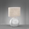 Fischer-Honsel FORO Table lamp silver, 1-light source