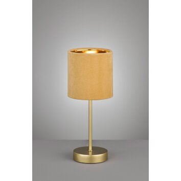 Fischer-Honsel AURA Table lamp gold, 1-light source