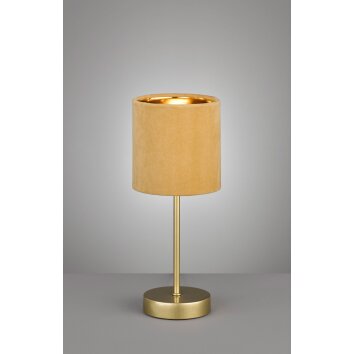 Fischer-Honsel AURA Table lamp gold, 1-light source