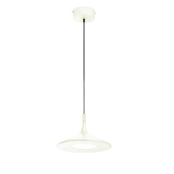 SCHÖNER-WOHNEN-Kollektion SLIM Pendant Light LED cream, 1-light source