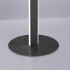 Paul-Neuhaus Q-VITO Floor Lamp LED anthracite, 3-light sources, Remote control