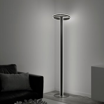 Paul-Neuhaus Q-VITO Floor Lamp LED anthracite, 3-light sources, Remote control