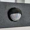CAUDRY Outdoor Wall Light black, 1-light source, Motion sensor