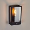 CAUDRY Outdoor Wall Light black, 1-light source, Motion sensor
