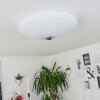 LANGLOIS Ceiling Light white, 1-light source