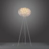 Leuchten-Direkt LOLASMART-NAOMI Floor Lamp LED white, 1-light source, Remote control, Colour changer