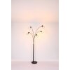 Globo PRISKA Floor Lamp black, 5-light sources