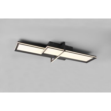 Trio-Leuchten CHARLESTON Ceiling Light LED anthracite, 2-light sources