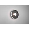 Trio-Leuchten ASCARI Ceiling Light LED black, 1-light source