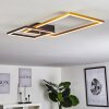 DOYON Ceiling Light LED black, 1-light source