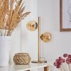 ALDEN Table lamp brass, 2-light sources