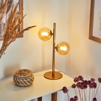 ALDEN Table lamp brass, 2-light sources