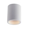 Luce-Design BANJIE Ceiling Light can be painted with regular paint, white, 1-light source