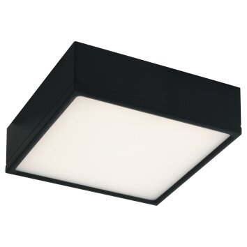 Luce-Design KLIO Ceiling Light LED black, 1-light source