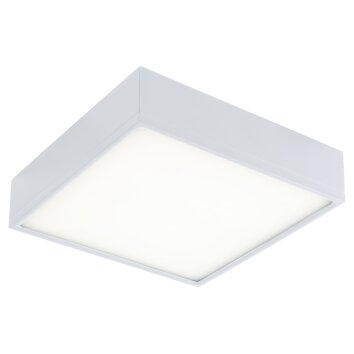 Luce-Design KLIO Ceiling Light LED white, 1-light source