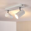 Ceiling Light Zuoz white, 2-light sources