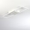 VASEUX Ceiling Light LED white, 1-light source