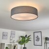 TVEID Ceiling Light matt nickel, 3-light sources