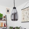 LAROBE Pendant Light black, 1-light source