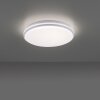 Leuchten-Direkt COLIN Ceiling Light LED white, 1-light source