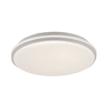 Leuchten-Direkt COLIN Ceiling Light LED white, 1-light source