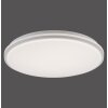 Leuchten-Direkt COLIN Ceiling Light LED white, 1-light source