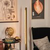 RODECHE Floor Lamp LED gold, 1-light source