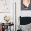 RODECHE Floor Lamp LED gold, 1-light source
