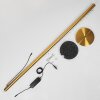 RODECHE Floor Lamp LED gold, 1-light source