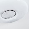 PAGE Ceiling Light LED white, 2-light sources, Remote control, Colour changer