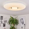 PAGE Ceiling Light LED white, 2-light sources, Remote control, Colour changer
