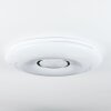 PAGE Ceiling Light LED white, 2-light sources, Remote control, Colour changer